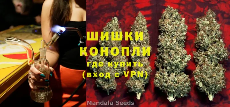 как найти   Малаховка  МАРИХУАНА White Widow 